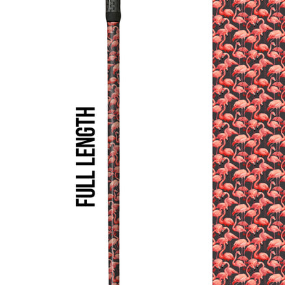 Coral Dreams