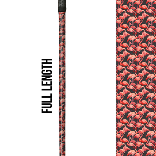 Coral Dreams