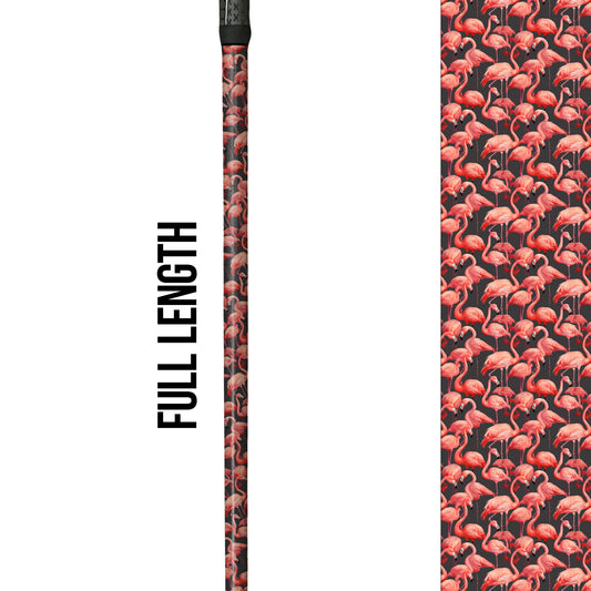 Coral Dreams