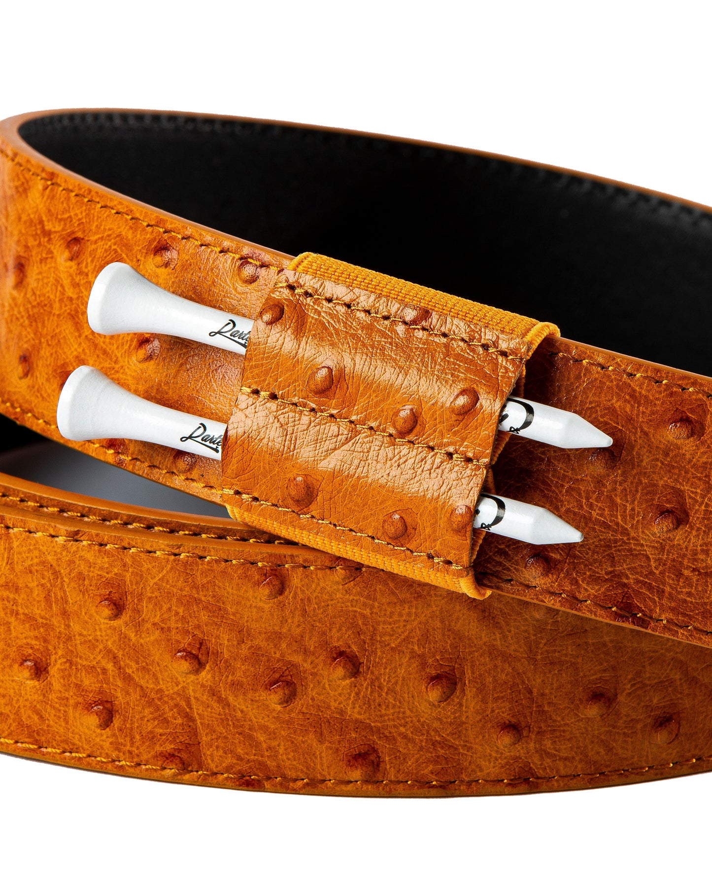 Sahara Sunset