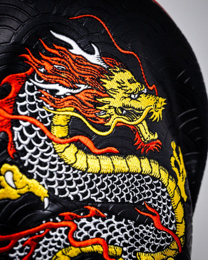 Dragon's Dynasty - Driver Cover