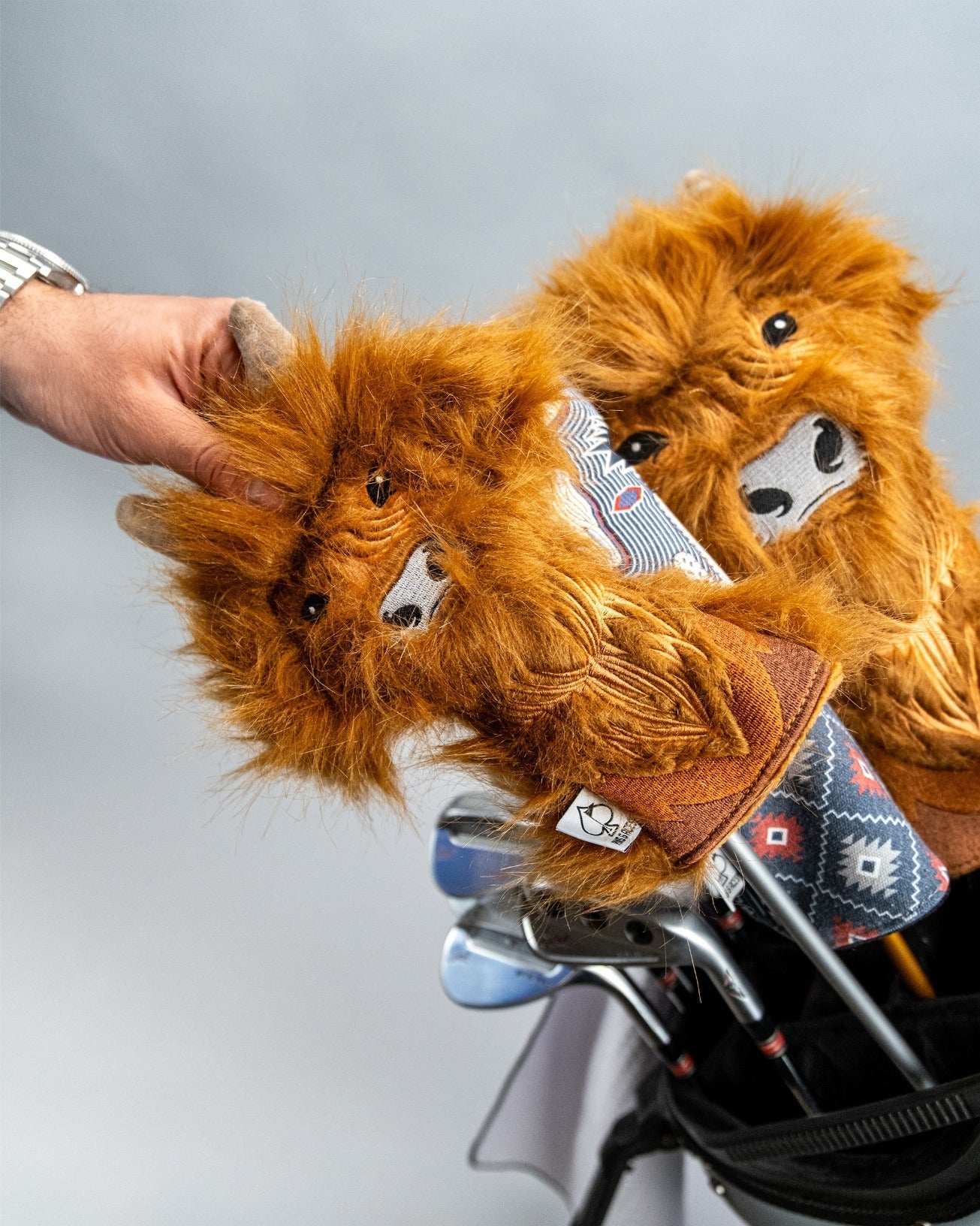 Highland Cow - Hybrid Cover